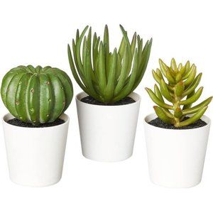Artificial Mini Succulent Fake Indoor Plants with Plastic Planter Pots, 3 Pack
